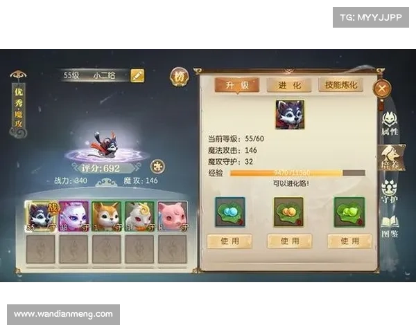 新手学徒征途鉴宠路 新手学徒征途鉴宠路