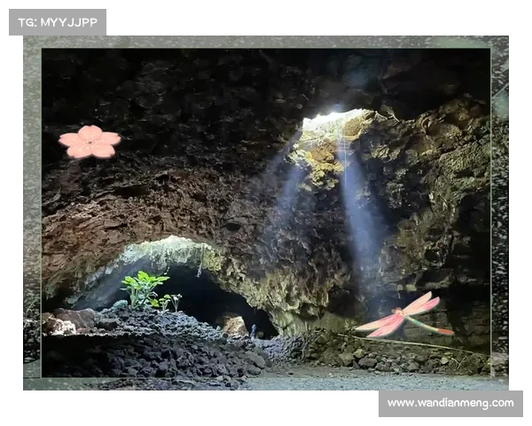 解密谜幻之岛:寻觅隐藏的宝藏 解密谜幻之岛:寻觅隐藏的宝藏